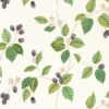 Aboretum Wallpaper Rubus -Crockers Paints Store DABW217227