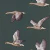 Aboretum Wallpaper Elysian Geese -Crockers Paints Store DYSI216608