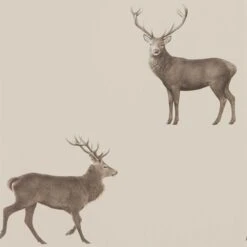 Aboretum Wallpaper Evesham Deer