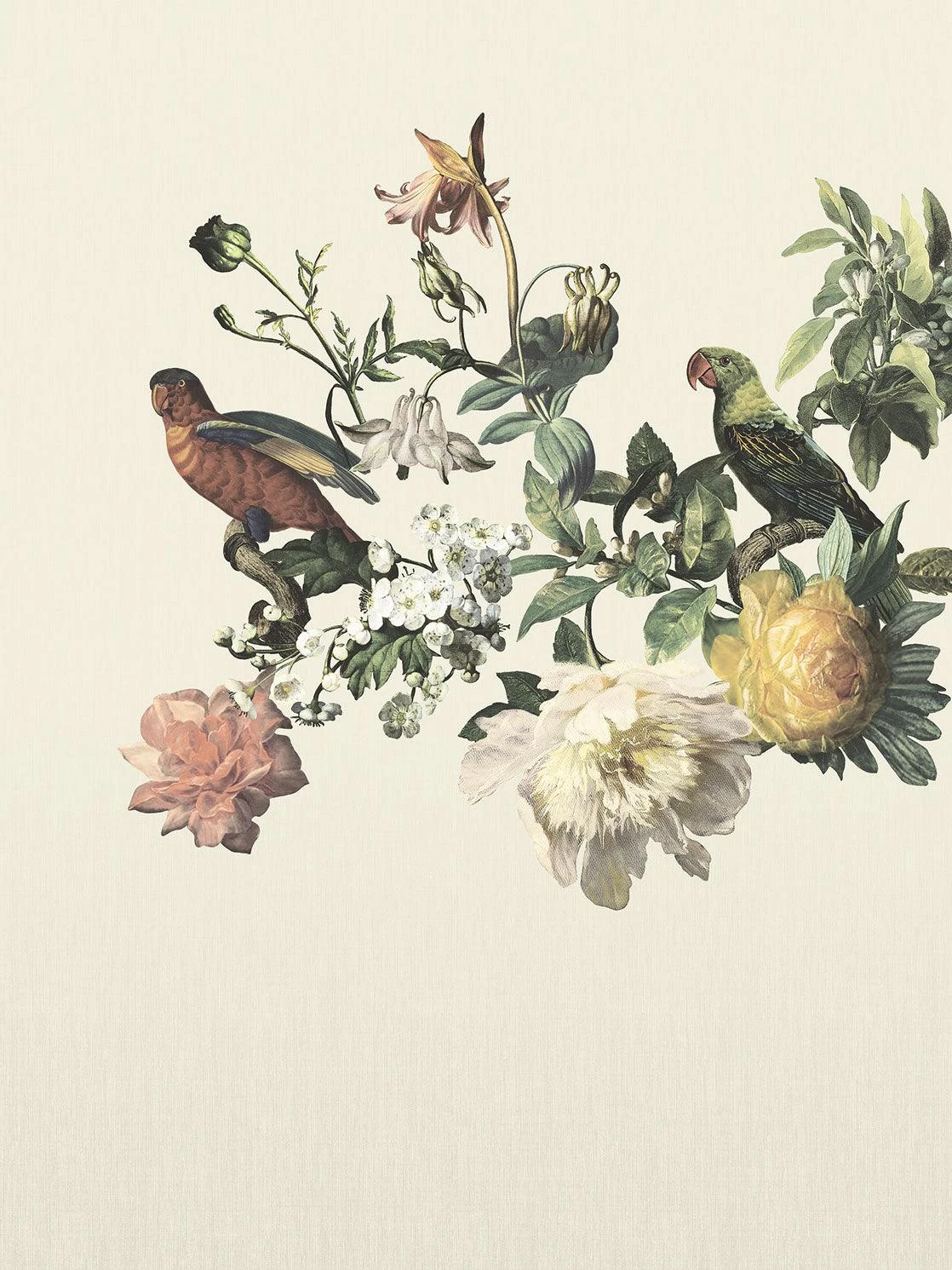 MUSEUM Wallpaper Mural Floral Birds MUSEUM Wallpaper Mural Floral Birds -Crockers Paints Store E307401