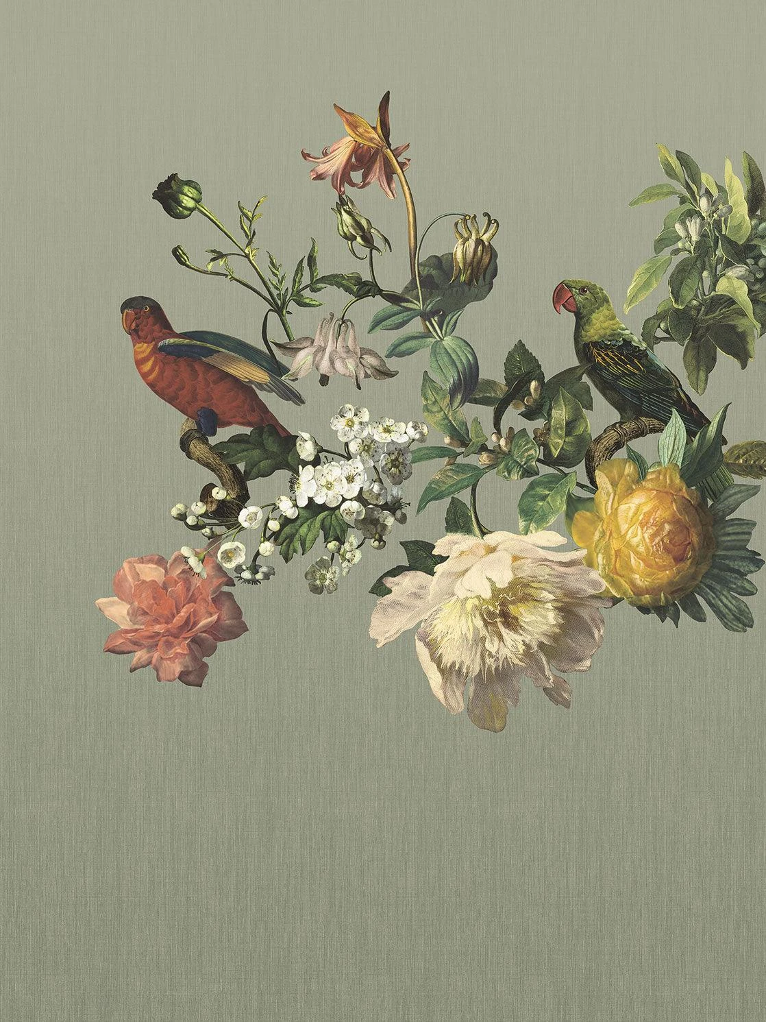 MUSEUM Wallpaper Mural Floral Birds MUSEUM Wallpaper Mural Floral Birds -Crockers Paints Store E307402