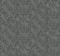 Rifle Paper Co. Champagne Dots Wallpaper