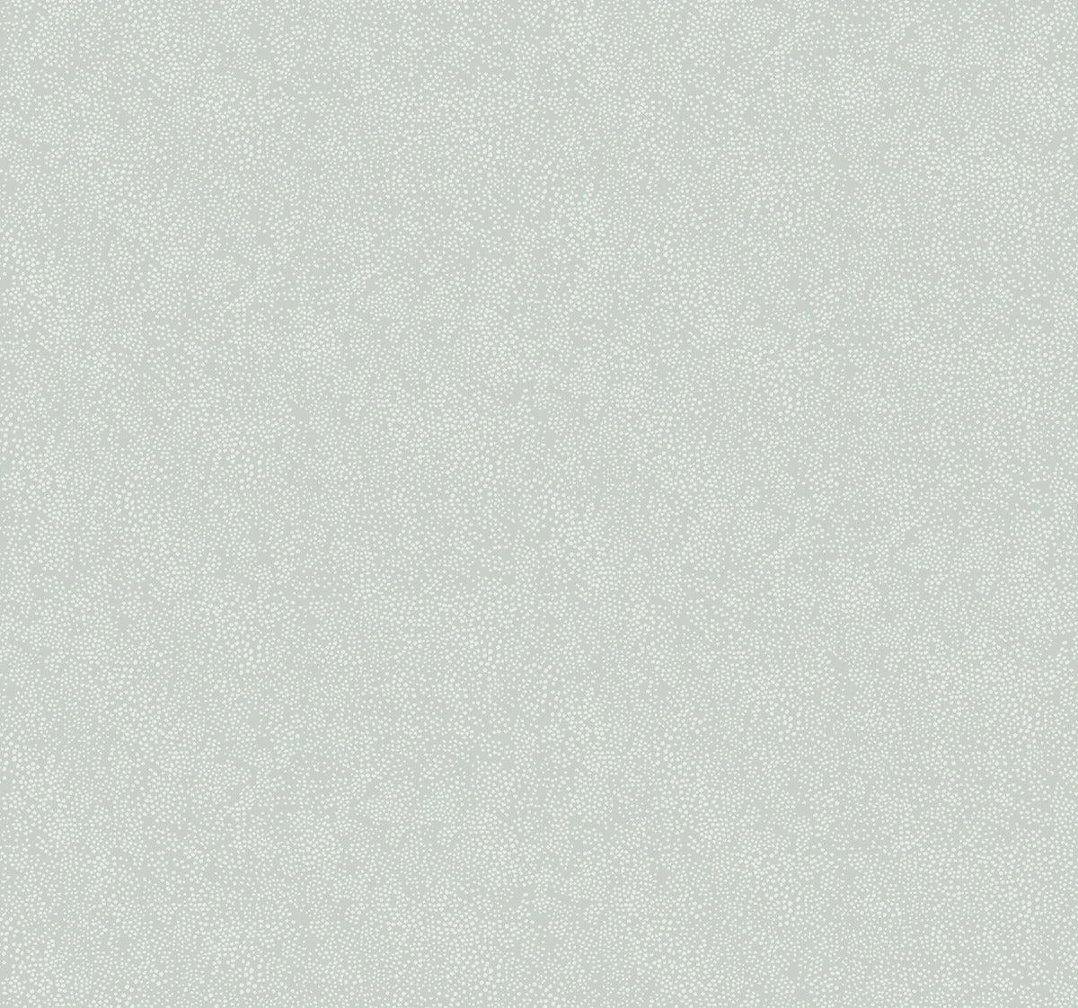 Rifle Paper Co. Champagne Dots Wallpaper Rifle Paper Co. Champagne Dots Wallpaper -Crockers Paints Store RI5114